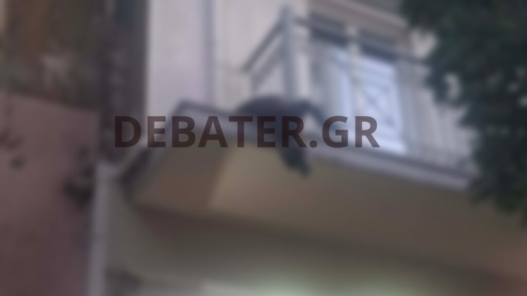 Σοκ στην Αθήνα: Σκύλος κρεμόταν νεκρός από μπαλκόνι ξενοδοχείου (Εικόνες)