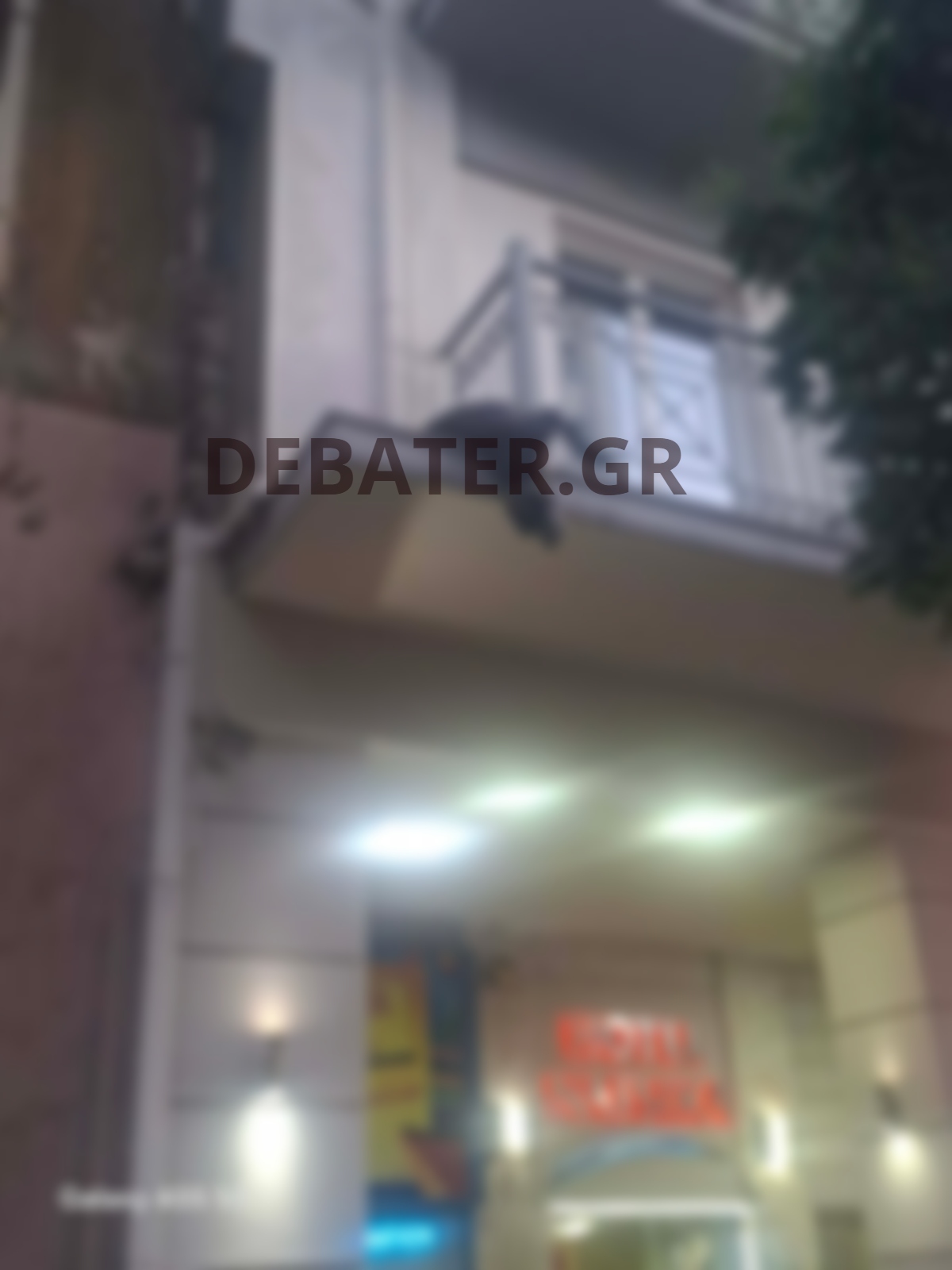 Φωτογραφία