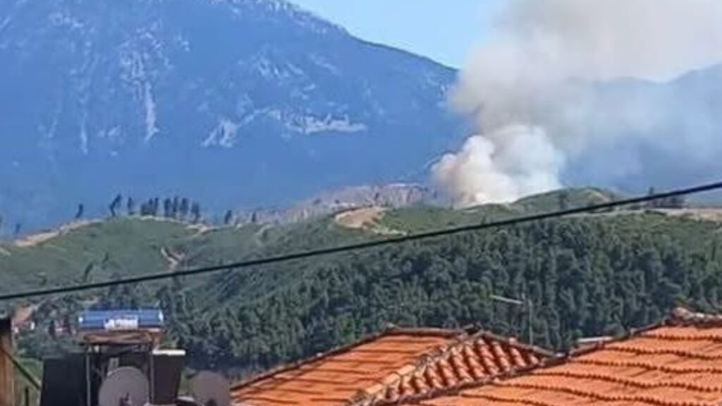 Φωτιά στο Σπαθάρι Ευβοίας – Επιχειρούν 11 εναέρια μέσα (Φωτογραφίες)