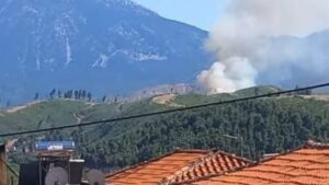 Φωτιά στο Σπαθάρι Ευβοίας – Επιχειρούν 11 εναέρια μέσα (Βίντεο – Φωτογραφίες)
