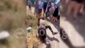Εύβοια: Μαθήτριες πιάστηκαν στα χέρια έξω από σχολείο – Συμμαθητές τους  ζητωκραύγαζαν και έβαζαν βίντεο
