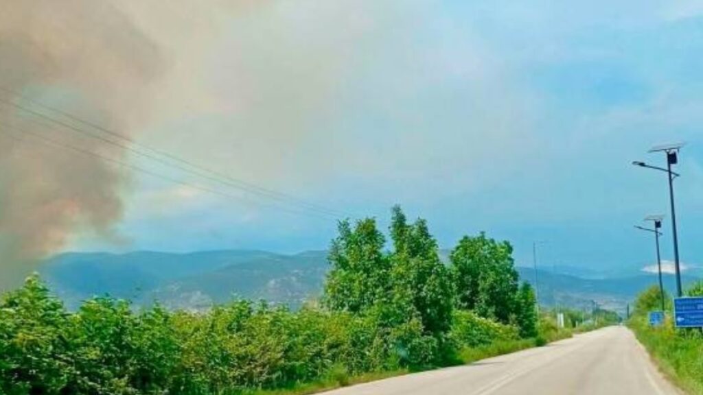 Φωτιά στον Δήμο Νέστου – Ορατοί οι καπνοί στην Καβάλα (Φωτογραφίες)