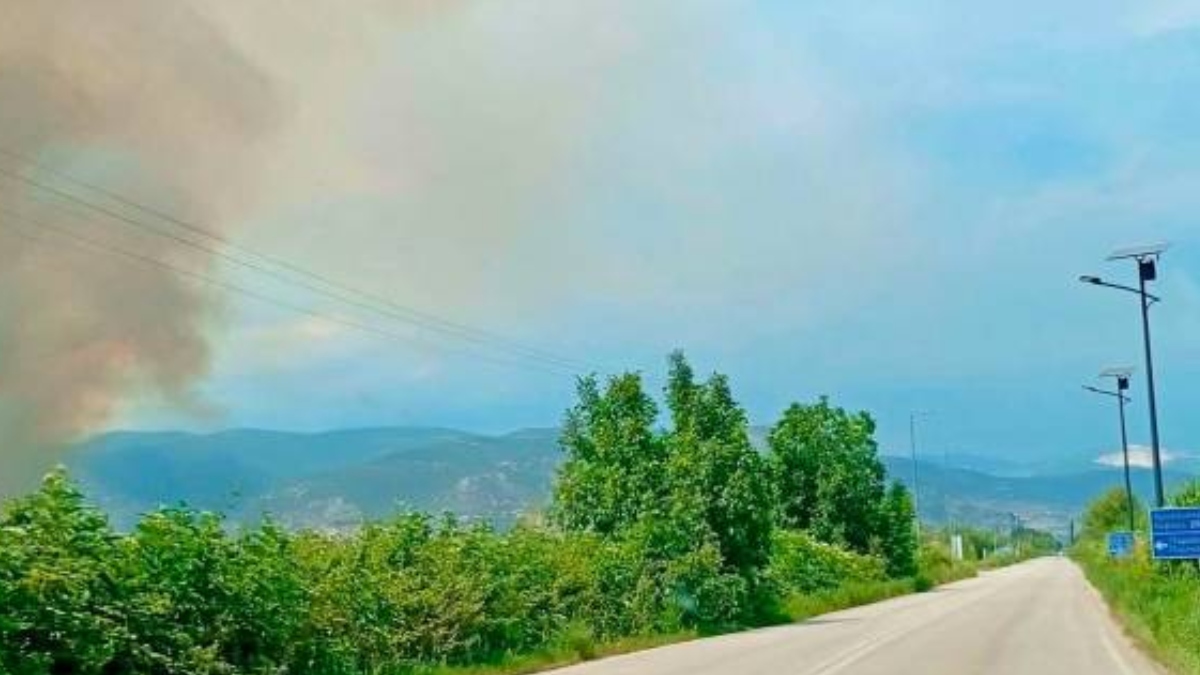 Φωτιά στον Δήμο Νέστου – Ορατοί οι καπνοί στην Καβάλα (Φωτογραφίες)