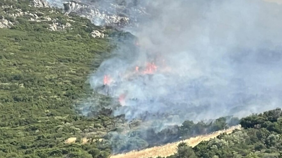 Φωτιά στον Ορχομενό Βοιωτίας: Χωρίς ενεργό μέτωπο, μάχη με τις διάσπαρτες εστίες