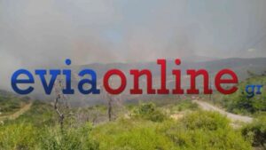 Φωτιά στο Σπαθάρι Ευβοίας: Σε ύφεση και χωρίς ενεργό μέτωπο η πυρκαγιά σε δασική έκταση (Βίντεο – Φωτογραφίες)