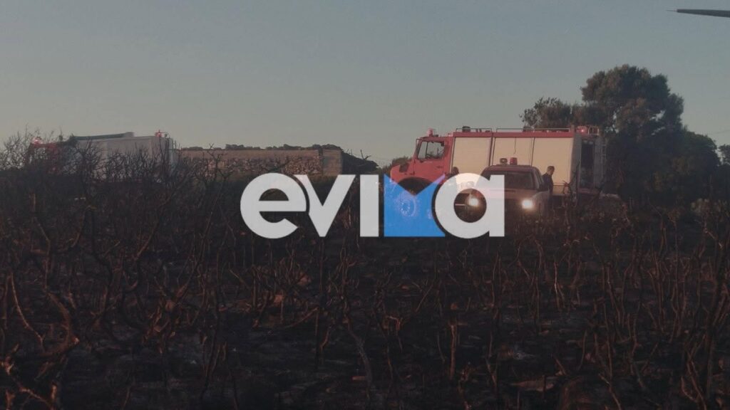 Φωτιά στην Εύβοια: Χωρίς ενεργό μέτωπο η πυρκαγιά – Παραμένουν στο σημείο ισχυρές δυνάμεις της Πυροσβεστικής