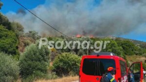 Φωτιά στον Αλμυροπόταμο Ευβοίας: Νέο μήνυμα του 112 για εκκένωση δυο οικισμών (Βίντεο – Φωτογραφίες)