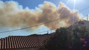 Φωτιά στον Αλμυροπόταμο Ευβοίας: Νέο μήνυμα του 112 για εκκένωση δυο οικισμών (Βίντεο – Φωτογραφίες)