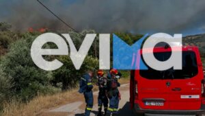 Φωτιά στον Αλμυροπόταμο Εύβοιας – Ήχησε το 112 (Βίντεο – Φωτογραφίες)