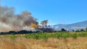 Φωτιά στην Μαριολάτα Φωκίδας – Επιχειρούν 3 εναέρια μέσα