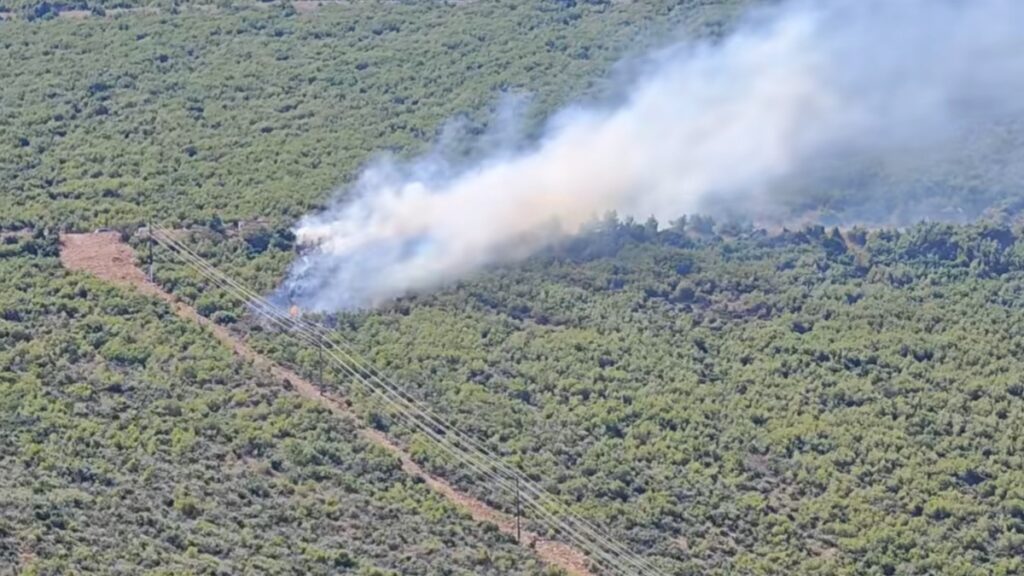 Φωτιά στον Άγιο Βασίλειο Βοιωτίας: Μεγάλη επιχείρηση της πυροσβεστικής, στην μάχη 4 εναέρια μέσα (βίντεο)