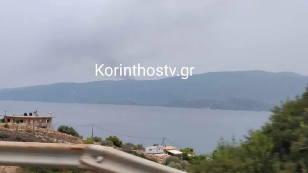 Φωτιά τώρα στο Αμόνι Κορινθίας (εικόνα)
