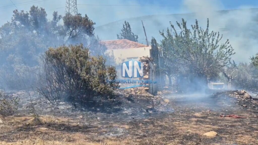 Φωτιά στην Κάτω Μουλάδα Αιτωλοακαρνανίας – Στην μάχη τρία εναέρια μέσα (εικόνα+βίντεο)