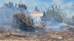 Φωτιά στην Κάτω Μουλάδα Αιτωλοακαρνανίας – Στην μάχη τρία εναέρια μέσα (εικόνα+βίντεο)