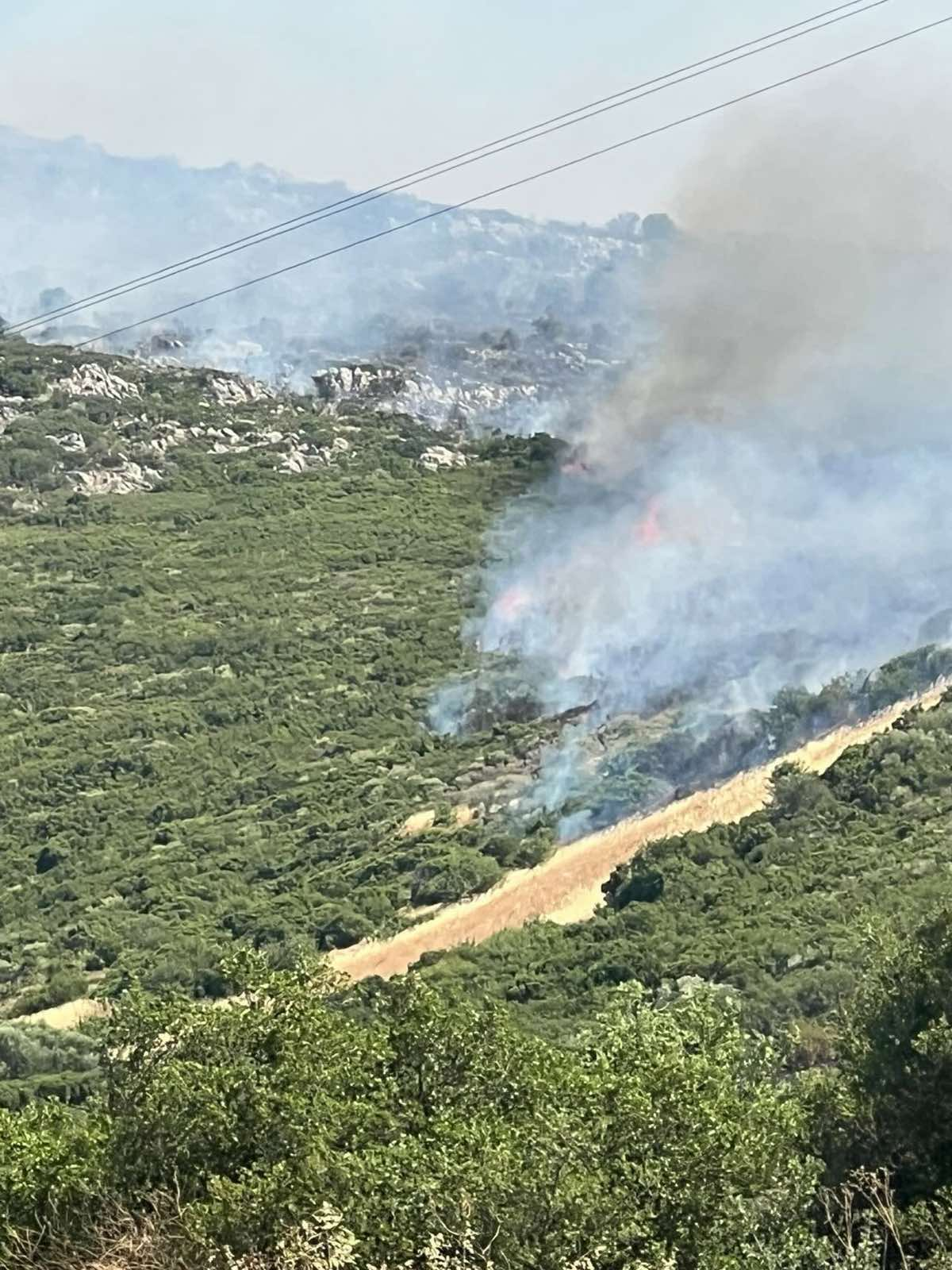 Φωτογραφία