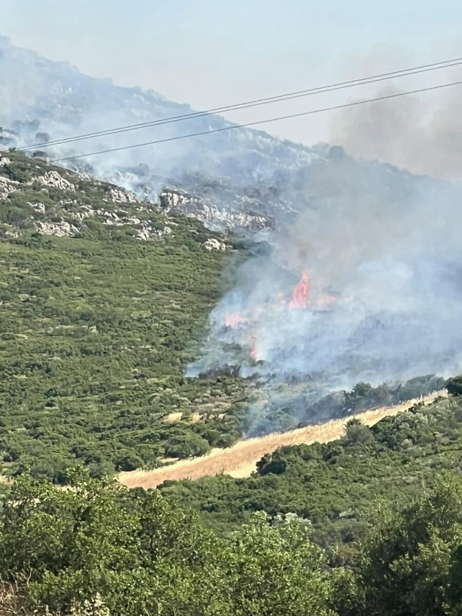 Φωτογραφία