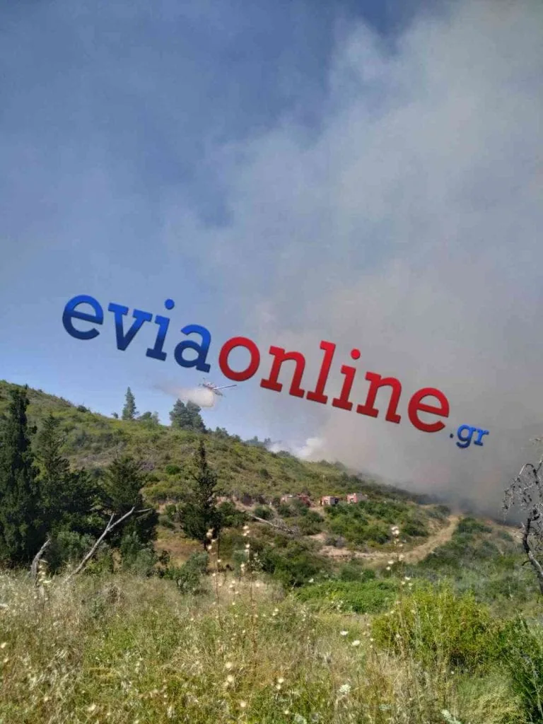 Φωτογραφία