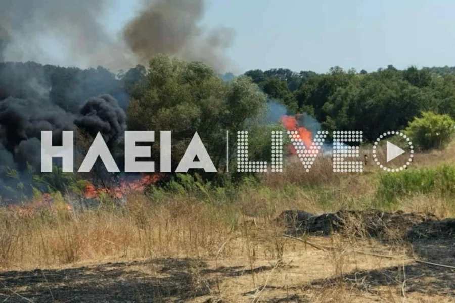 Φωτογραφία