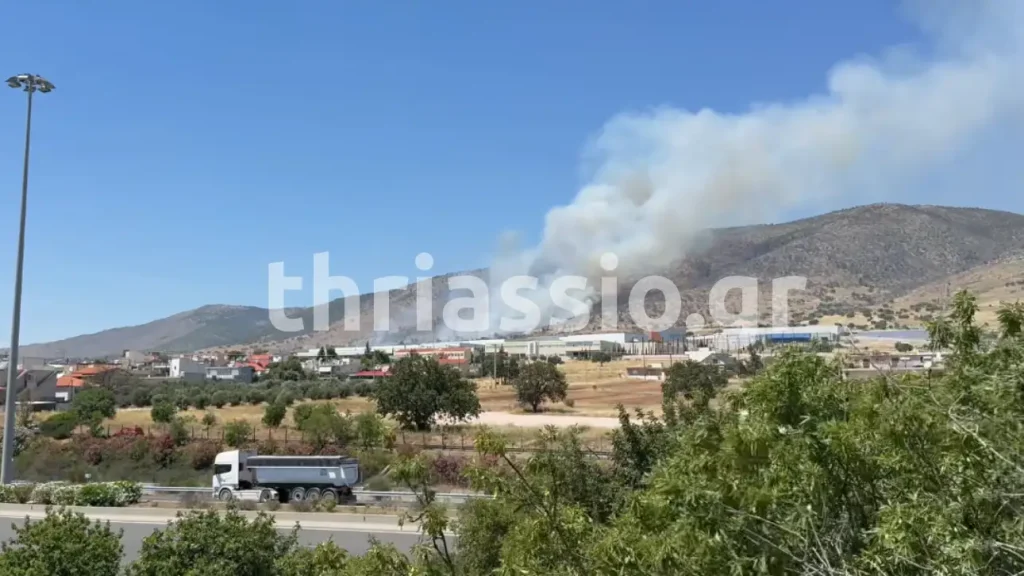Φωτογραφία