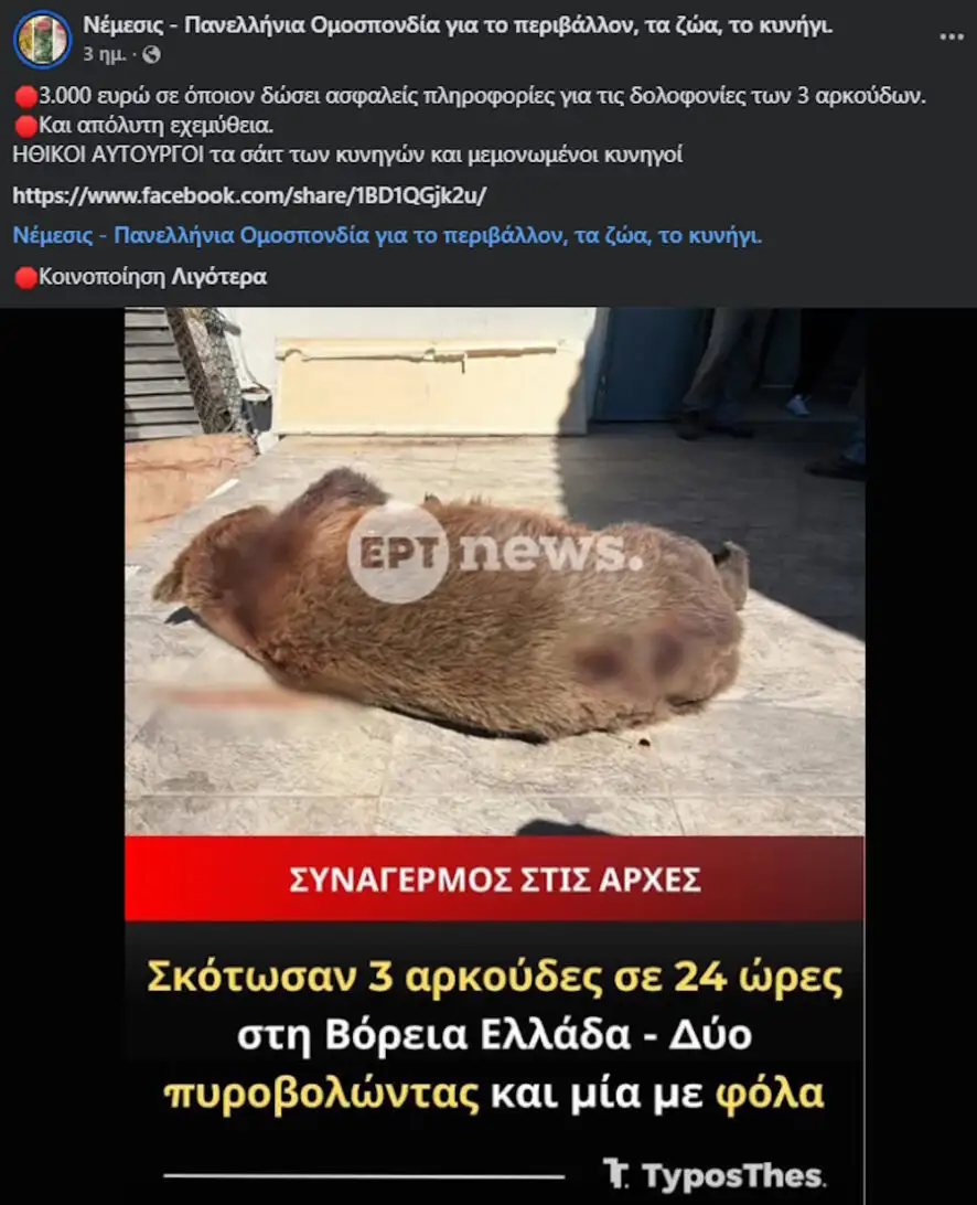 Φωτογραφία
