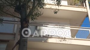Δολοφονία 39χρονης στην Καλαμάτα: Την σκότωσε ενώ δίπλα βρισκόταν τα παιδιά τους – Ομολόγησε την πράξη του ο 41χρονος