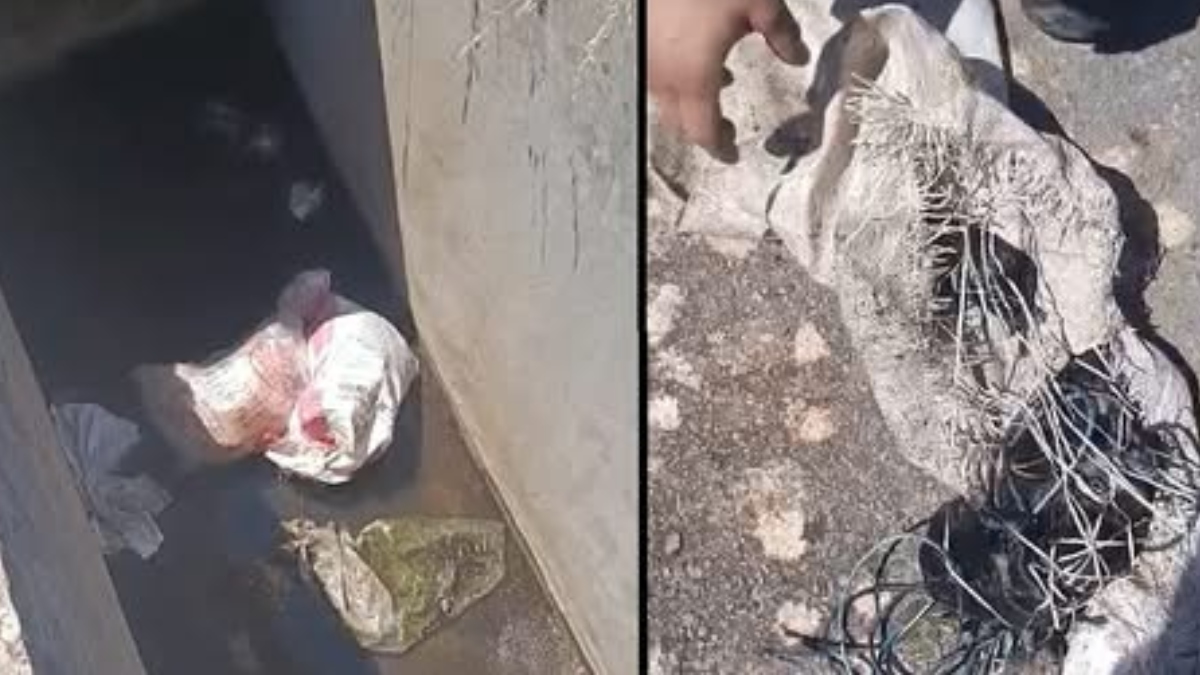 Φρίκη στην Αιτωλοακαρνανία: Έβαλαν επτά κουτάβια σε τσουβάλι και τα πέταξαν σε φρεάτιο