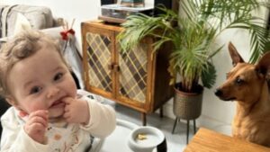 Βρετανία: Ισόβια σε καθηγητή για τη σεξουαλική κακοποίηση και δολοφονία του 13 μηνών θετού γιου του
