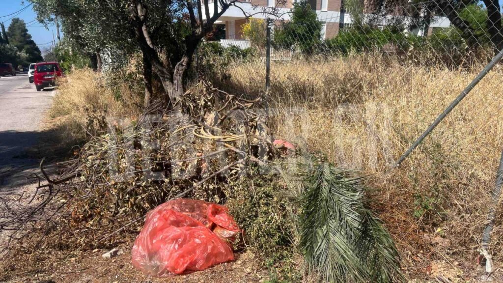 Ακαθάριστα οικόπεδα: Προς παράταση η προθεσμία για τις δηλώσεις και τον καθαρισμό (φωτογραφίες)