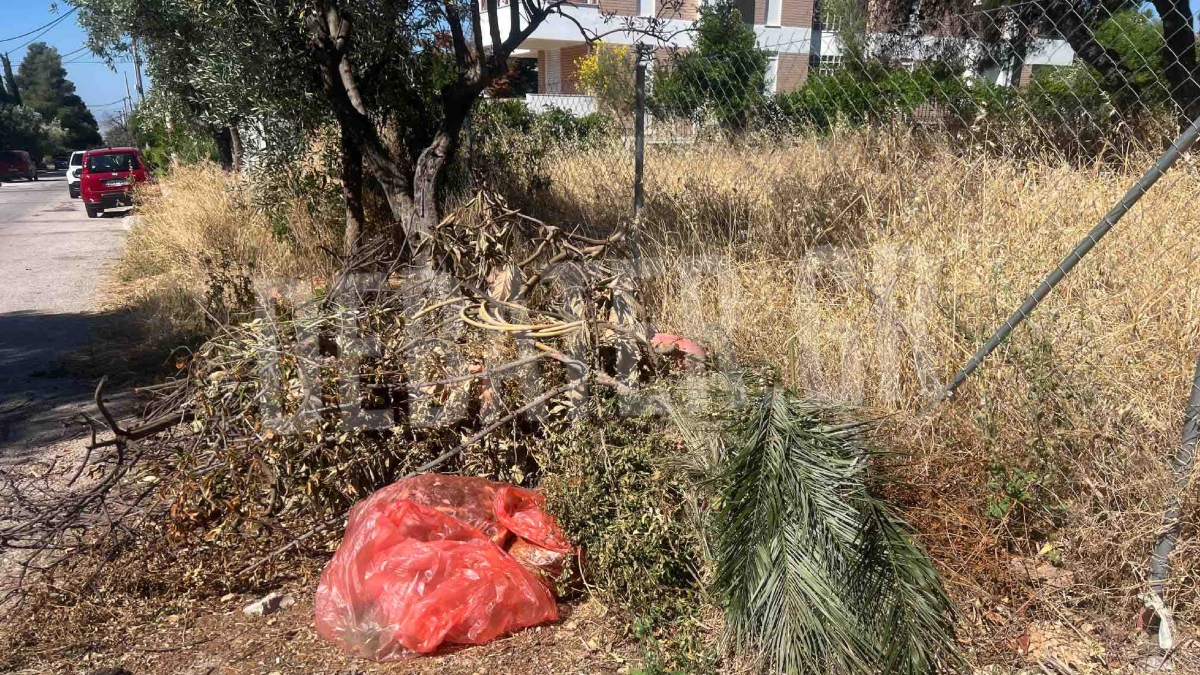Ακαθάριστα οικόπεδα: Προς παράταση η προθεσμία για τις δηλώσεις και τον καθαρισμό (φωτογραφίες)