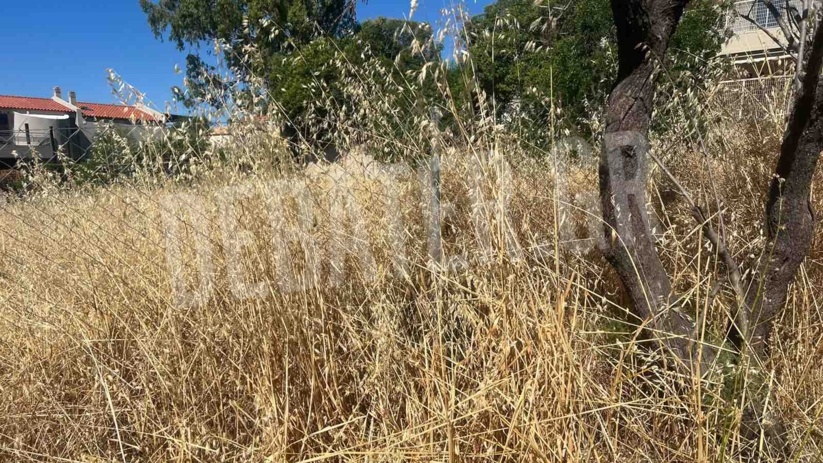 Φωτογραφία