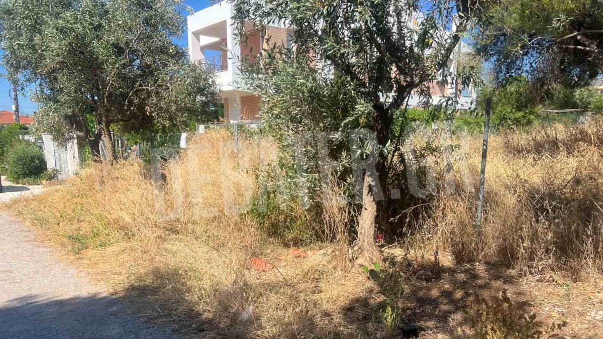Φωτογραφία