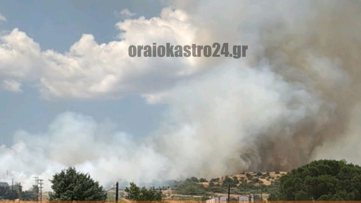 Φωτιά στο Δερβένι Θεσσαλονίκης: Ήχησε μήνυμα του 112 για εκκένωση οικισμού