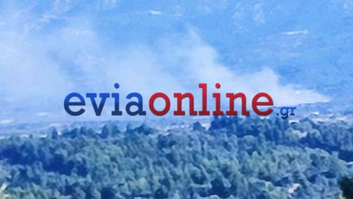 Υπό μερικό έλεγχο η πυρκαγιά στη Λούτσα Ευβοίας