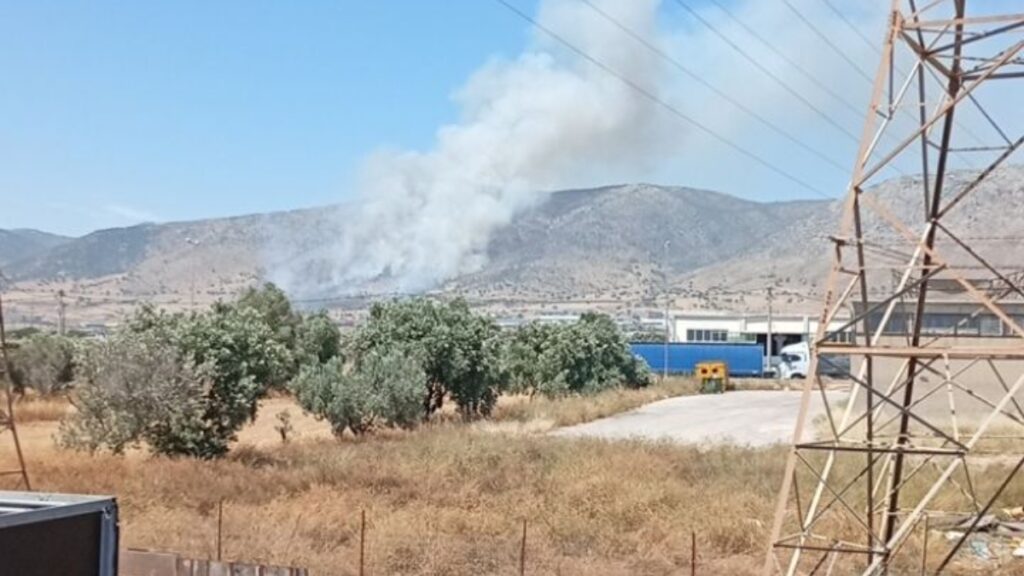 Πυρκαγιά σε χαμηλή βλάστηση στον Ασπρόπυργο – Επιχειρεί κι ένα ελικόπτερο (βίντεο)
