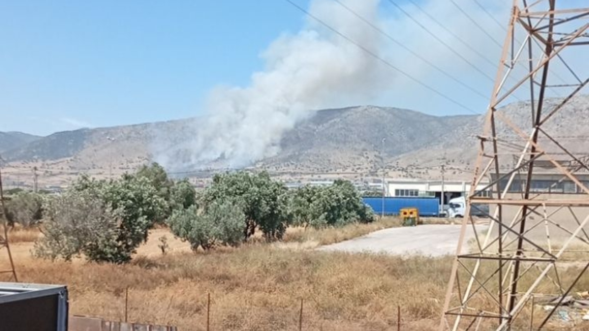 Πυρκαγιά σε χαμηλή βλάστηση στον Ασπρόπυργο – Επιχειρούν πέντε ελικόπτερα (βίντεο)