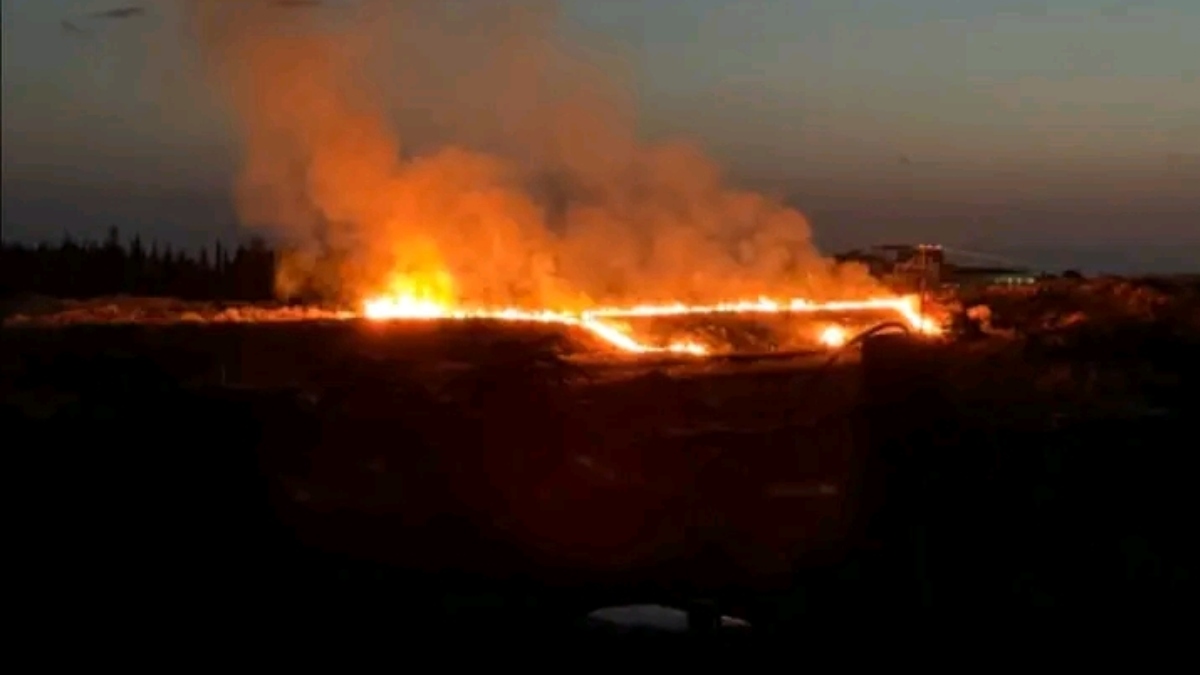 Φωτιά στην Πυλαία Θεσσαλονίκης – Προβλήματα στην ηλεκτροδότηση (Βίντεο)