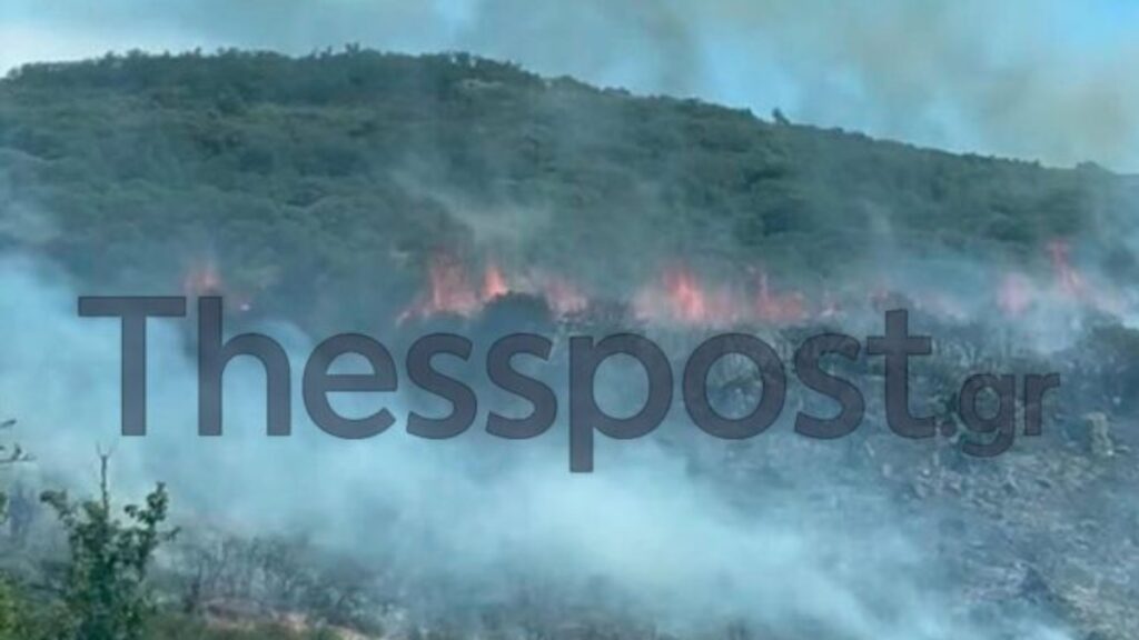 Φωτιά στο Φίλυρο Θεσσαλονίκης: Οι πρώτες εικόνες από την πυρκαγιά