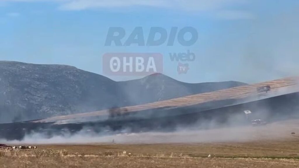 Φωτιά τώρα στη Θήβα – Καίγονται ξερά χόρτα