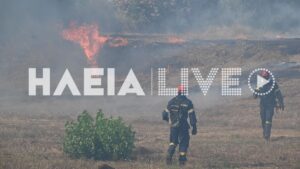 Φωτιά στην Βάρδα Ηλείας: Οριοθετήθηκε η πυρκαγιά (Βίντεο – Φωτογραφίες)