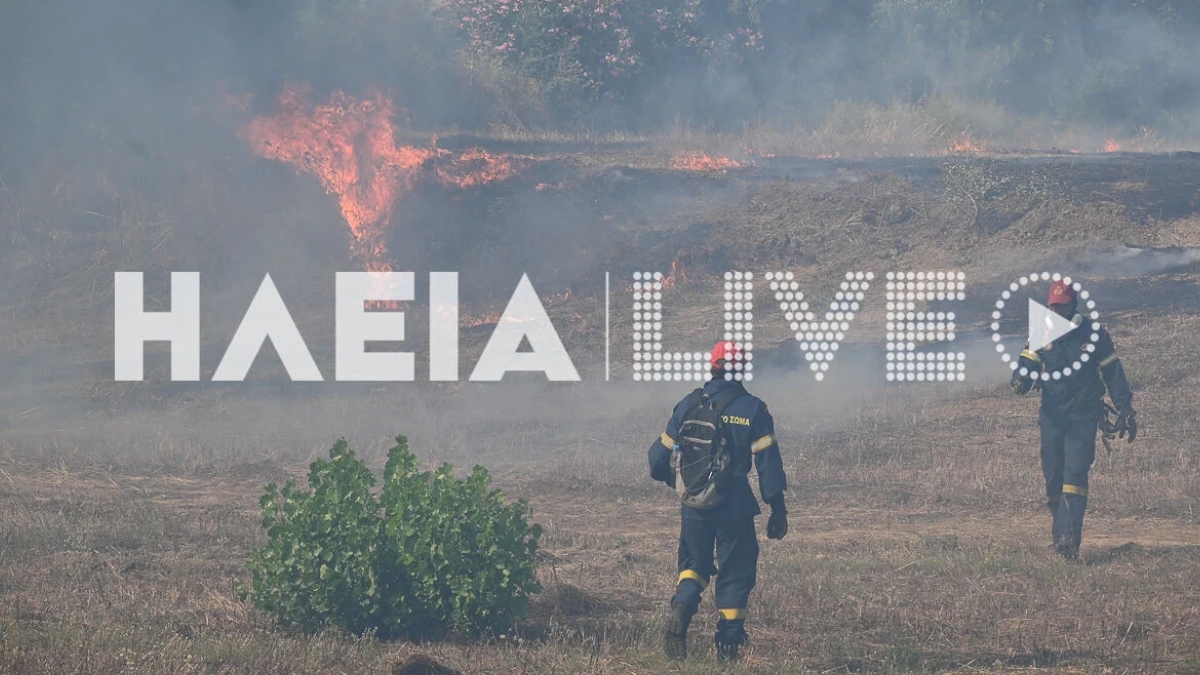 Φωτιά στην Βάρδα Ηλείας: Οριοθετήθηκε η πυρκαγιά (Βίντεο – Φωτογραφίες)