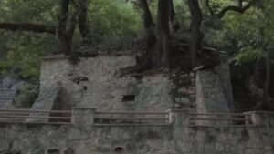 Αγία Θεοδώρα Βάστας: Το εκκλησάκι-θαύμα της Αρκαδίας όπου 17 δέντρα φυτρώνουν πάνω στη στέγη