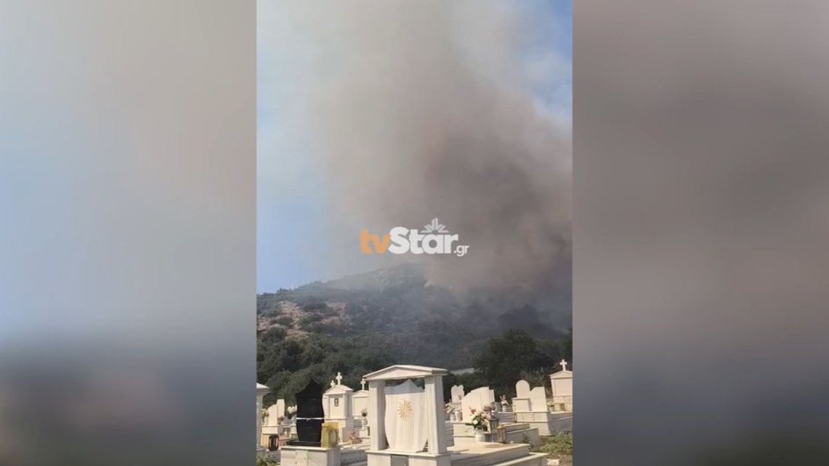 Ανεξέλεγκτη η φωτιά στον Ορχομενό Βοιωτίας, ενισχύθηκαν οι δυνάμεις της Πυροσβεστικής – Ήχησε το 112 για ετοιμότητα (βίντεο + φωτογραφίες)
