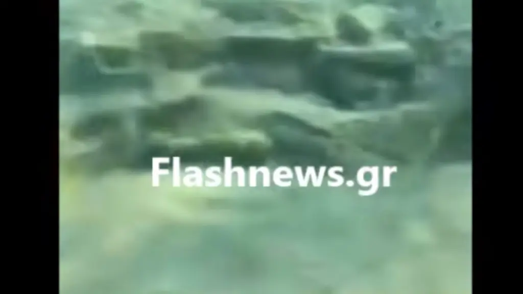 Κρήτη: Έκανε μπάνιο στην θάλασσα και εντόπισε οβίδα του B’ Παγκοσμίου Πολέμου λίγα μέτρα από παραλία στα Χανιά