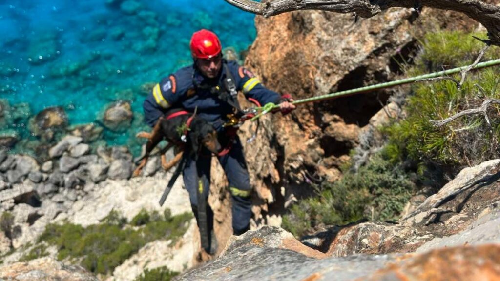 Ζάκυνθος: Η Πυροσβεστική διέσωσε σκύλο που έπεσε σε γκρεμό παραλίας