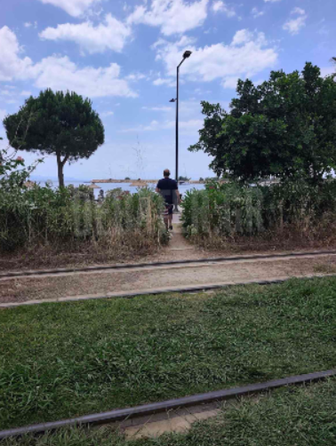 Σωματείο Οδηγών ΣΤΑΣΥ για το Τραμ