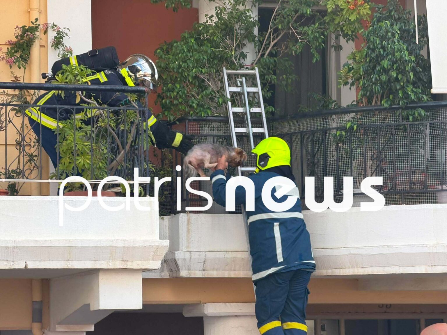 Φωτογραφία