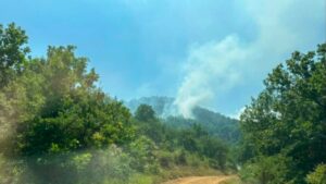 Καρδίτσα: Φωτιά σε δασική έκταση στο Μουζάκι – Επιχειρούν επίγειες δυνάμεις και 5 εναέρια μέσα