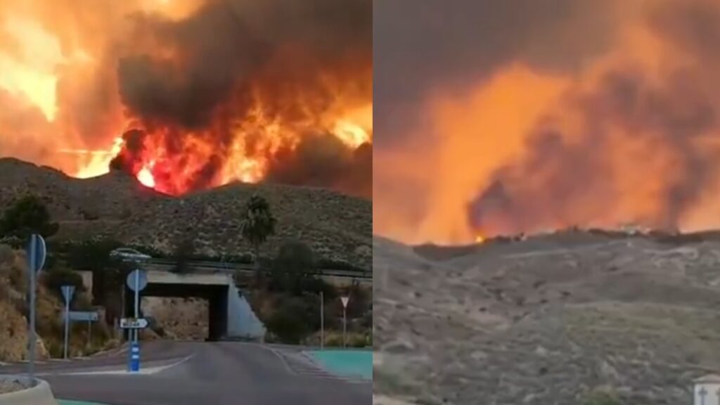 Φονική πυρκαγιά στην Ισπανία: 12 νεκροί στην Αλμερία – Ορισμένοι κάηκαν μέσα στα αυτοκίνητά τους (βίντεο)