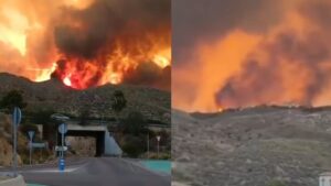 Φονική πυρκαγιά στην Ισπανία: 12 νεκροί στην Αλμερία – Ορισμένοι κάηκαν μέσα στα αυτοκίνητά τους (βίντεο)