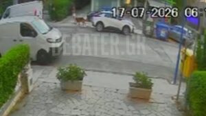 Βριλήσσια: Βίντεο ντοκουμέντα λίγο μετά την άγρια επίθεση σκύλου έξω από φούρνο – Ο 66χρονος “προσπάθησε να σώσει το σκυλάκι του”